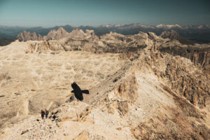 View of Sella Group Plateau from the top of Piz Boè, Alpine chough, Pyrrhocorax graculus, in flight View of Sella Group Plateau from the top of Piz Boè, Alpine chough, Pyrrhocorax graculus, in flight